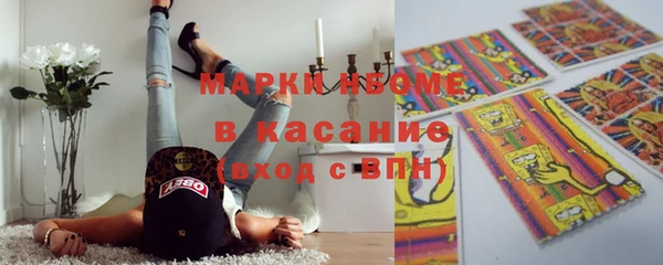 прущие грибы Сосновка