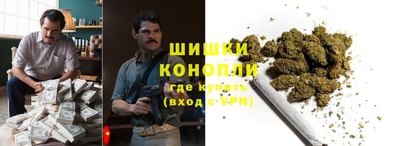 прущие грибы Сосновка