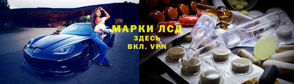 прущие грибы Сосновка