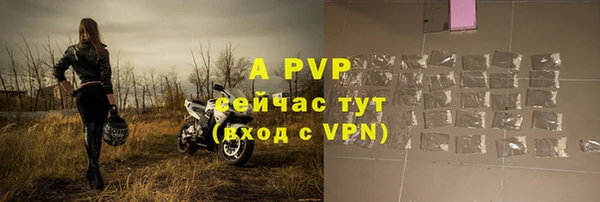 прущие грибы Сосновка