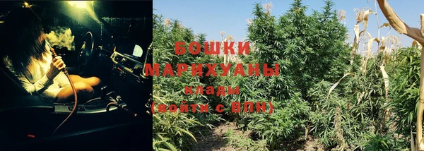 прущая мука Почеп