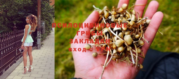 сатива Ступино