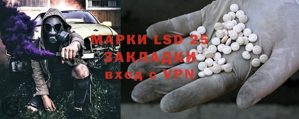 прущие грибы Сосновка