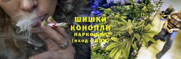 сатива Ступино