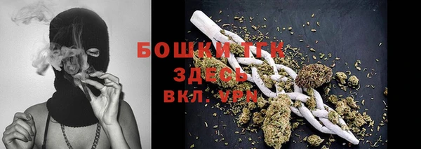 шишки Струнино