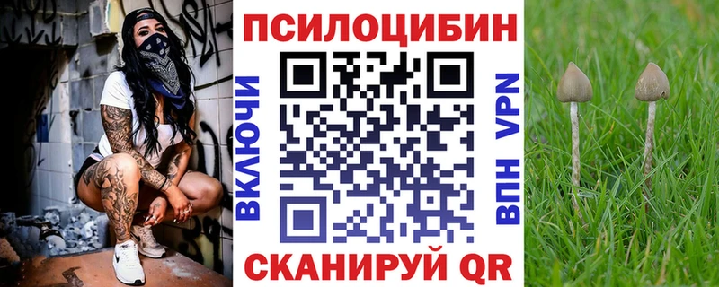 Псилоцибиновые грибы GOLDEN TEACHER  ссылка на мегу сайт  Тулун 